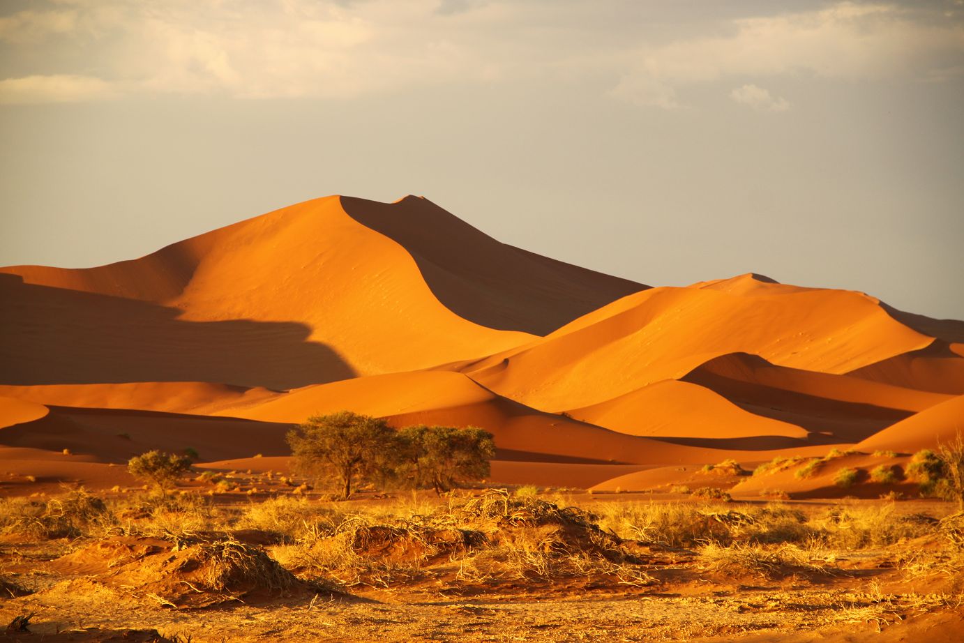 sussusvlei_in_the_namib_desert_namibia__africa